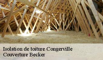 Isolation de toiture congerville-91740 Couverture Becker
