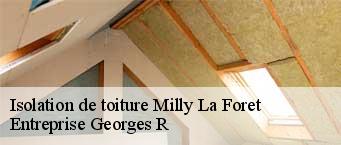 Isolation de toiture  milly-la-foret-91490 Entreprise Georges R