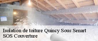 Isolation de toiture quincy-sous-senart-91480 SOS Couverture