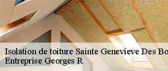 Isolation de toiture  sainte-genevieve-des-bois-91700 Entreprise Georges R