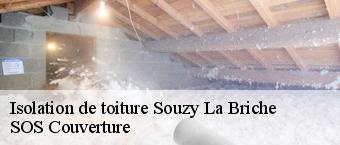 Isolation de toiture souzy-la-briche-91580 SOS Couverture