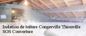 Isolation de toiture  congerville-thionville-91740 SOS Couverture